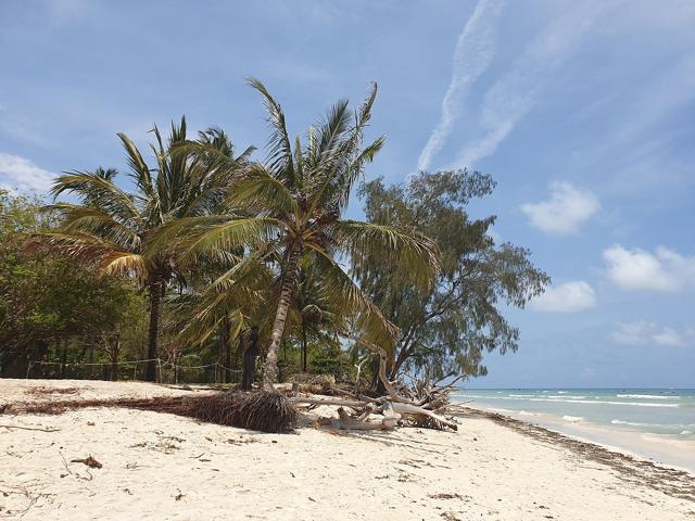 Diani Beach